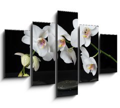 Obraz   White Orchid on a black background, 150 x 100 cm