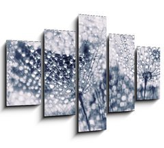Obraz   Plant seeds with water drops, 150 x 100 cm