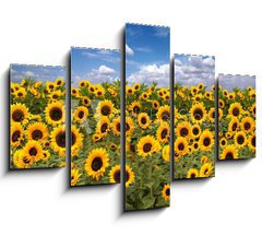 Obraz ptidln 5D - 150 x 100 cm F_GB10725175 - Sunflower Farmland With Blue Cloudy Sky