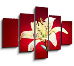 Obraz 5D ptidln - 150 x 100 cm F_GB10726288 - lily flower