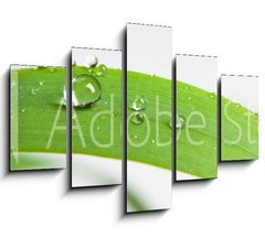 Obraz 5D ptidln - 150 x 100 cm F_GB107308034 - bubble drop on clover isolated on white