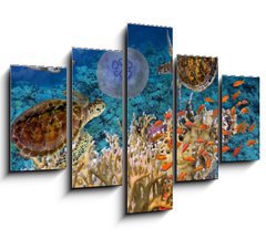 Obraz 5D ptidln - 150 x 100 cm F_GB107412265 - Colorful coral reef with many fishes and sea turtle