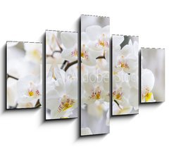 Obraz   Vibrant holiday background with beautiful close up white orchid flower branch , 150 x 100 cm
