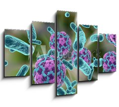 Obraz 5D ptidln - 150 x 100 cm F_GB110321094 - Bacteria and hepatitis A virus