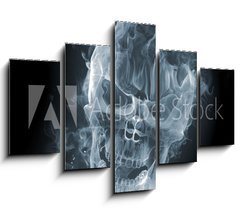 Obraz 5D ptidln - 150 x 100 cm F_GB11412559 - Skull - smoke - krtk veslo