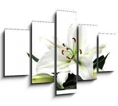 Obraz ptidln 5D - 150 x 100 cm F_GB1162120 - lilly wide