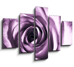 Obraz ptidln 5D - 150 x 100 cm F_GB11865044 - Purple rose