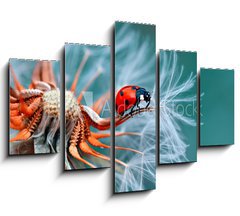 Obraz 5D ptidln - 150 x 100 cm F_GB121417091 - freedom