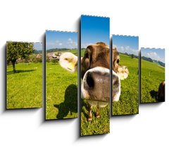 Obraz pětidílný 5D - 150 x 100 cm F_GB12161213 - cow, funny fisheye nose close up