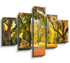 Obraz   Park im Herbst in freundlich warmen Farben, 150 x 100 cm