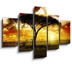 Obraz 5D ptidln - 150 x 100 cm F_GB12197040 - Africa Sunset