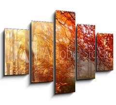 Obraz 5D ptidln - 150 x 100 cm F_GB122248477 - Herbst im Wald, mit Lichtstrahlen im Nebel und rotem Laub