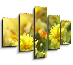 Obraz   Closeup of yellow daisies with warm rays, 150 x 100 cm