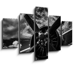 Obraz 5D ptidln - 150 x 100 cm F_GB123654629 - Close up of old airplane in black and white - Zblzka starho letadla v ern a bl