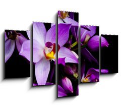 Obraz ptidln 5D - 150 x 100 cm F_GB1241133 - orchids