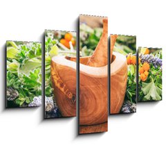 Obraz 5D ptidln - 150 x 100 cm F_GB128185706 - Variety of herbs and mortar on wooden background, banner