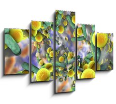 Obraz   Biofilm of antibiotic resistant bacteria. Rod, 150 x 100 cm