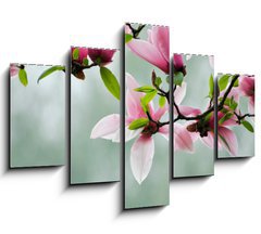 Obraz ptidln 5D - 150 x 100 cm F_GB13608462 - Magnolia - Magnlie