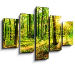 Obraz 5D ptidln - 150 x 100 cm F_GB137096673 - Wald im Frhling mit Sonne