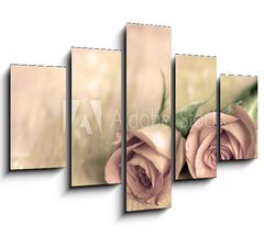 Obraz   zwei rosen, 150 x 100 cm