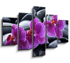 Obraz 5D ptidln - 150 x 100 cm F_GB13998987 - beautiful orchid detail still life spa stones