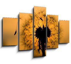 Obraz ptidln 5D - 150 x 100 cm F_GB14129993 - dandelion in peaceful evening - pampelika v klidnm veeru