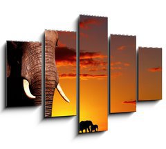 Obraz   African nature concept, 150 x 100 cm