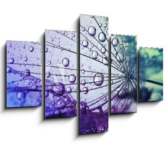Obraz 5D ptidln - 150 x 100 cm F_GB146436696 -  dandelion flower background