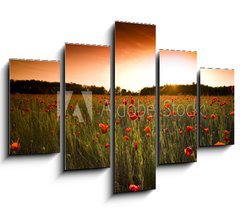 Obraz   poppies field, 150 x 100 cm