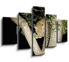 Obraz ptidln 5D - 150 x 100 cm F_GB147411 - leopard