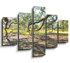Obraz 5D ptidln - 150 x 100 cm F_GB147965977 - Panoramic view of Oak Alley Plantation, Louisiana
