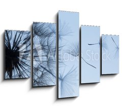 Obraz 5D ptidln - 150 x 100 cm F_GB149304809 - Dandelion silhouette fluffy flower on blue sunset sky - Pampelika silueta naechran kvt na modr obloze pi zpadu slunce