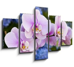 Obraz ptidln 5D - 150 x 100 cm F_GB14941045 - Pink Orchid Flowers