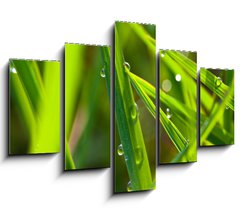Obraz ptidln 5D - 150 x 100 cm F_GB15002116 - leaf with dew