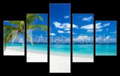 Obraz 5D ptidln - 150 x 100 cm F_GB151547263 - coco palm panorama wide format on tropical paradise dream beach - kokosov palmov panoramatick irok formt na pli sn v tropickm rji