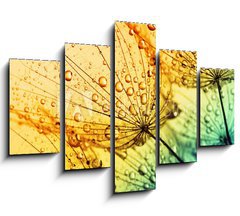 Obraz 5D ptidln - 150 x 100 cm F_GB153111950 -  dandelion flower background