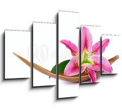 Obraz ptidln 5D - 150 x 100 cm F_GB15641215 - Beautiful lily flower - Krsn lilie kvtina