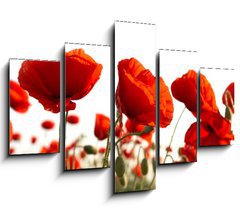 Obraz   Red poppies, 150 x 100 cm