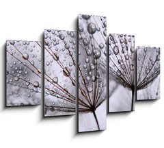 Obraz 5D ptidln - 150 x 100 cm F_GB15712767 - dandelion seeds