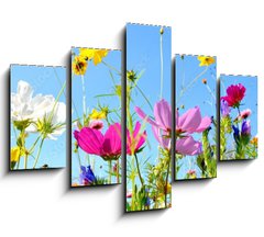 Obraz 5D ptidln - 150 x 100 cm F_GB157514845 - Blumenwiese