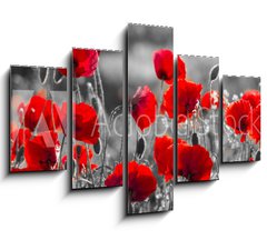 Obraz 5D ptidln - 150 x 100 cm F_GB158374540 - red poppies, black and white