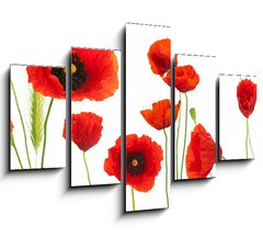 Obraz 5D ptidln - 150 x 100 cm F_GB16302872 - red poppies over white background - floral design element