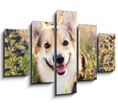 Obraz 5D ptidln - 150 x 100 cm F_GB164383181 - Happy and active purebred Welsh Corgi dog outdoors in the flowers on a sunny summer day.