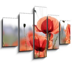 Obraz ptidln 5D - 150 x 100 cm F_GB16525466 - mohnblumen