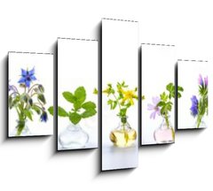 Obraz 5D ptidln - 150 x 100 cm F_GB166862791 - Herbs for alternative medicine, natural cosmetics and kitchen