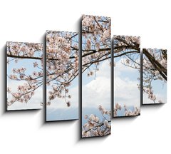 Obraz 5D ptidln - 150 x 100 cm F_GB167625752 - Fuji mountain  in japan as background with sakura blossom as foreground