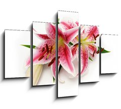 Obraz ptidln 5D - 150 x 100 cm F_GB16841573 - Lily