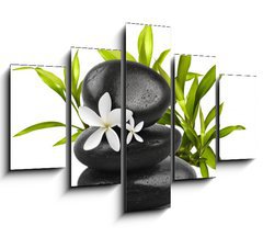 Obraz   Spa still life on white background, 150 x 100 cm