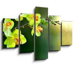 Obraz ptidln 5D - 150 x 100 cm F_GB17174555 - Orchidee