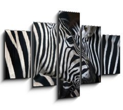 Obraz   zebras, 150 x 100 cm
